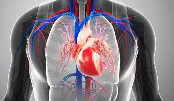 دل کے ناکام پٹھے