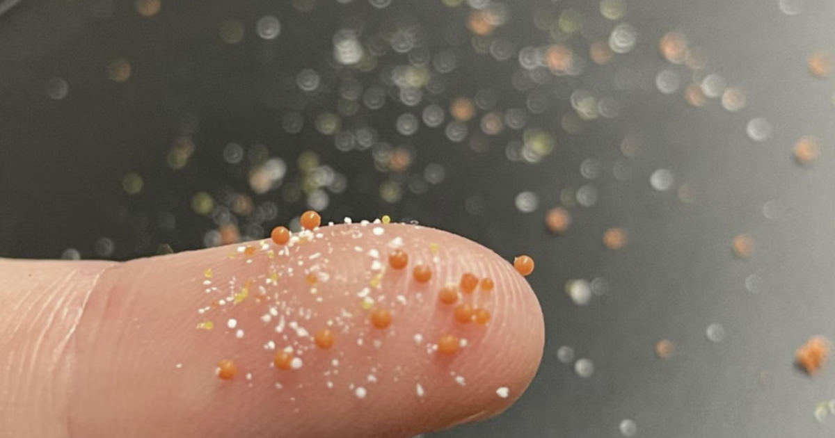 مائیکرو پلاسٹک