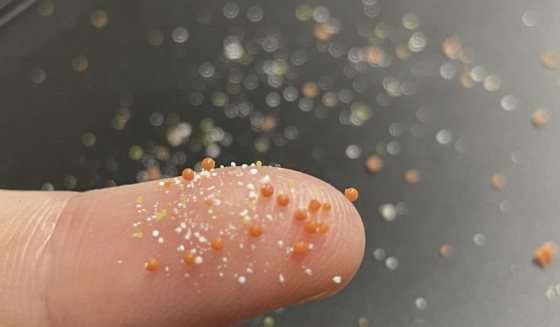 مائیکرو پلاسٹک